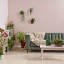 Lounge, soft pink lounge, lounge featuring Resene Soothe