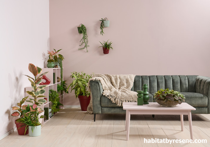 Lounge, soft pink lounge, lounge featuring Resene Soothe