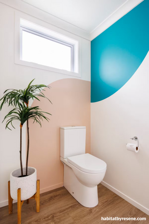 Water closet, toilet, toilet with feature wall