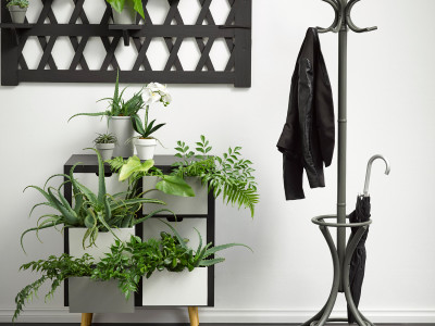 A bold celebration of black in home design A bold celebration of black in home design