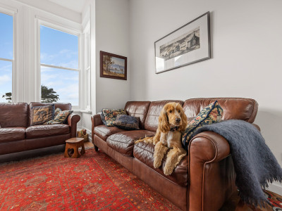 Pink walls and Pohutukawa dreams