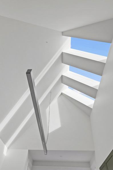 Pink walls and Pohutukawa dreams