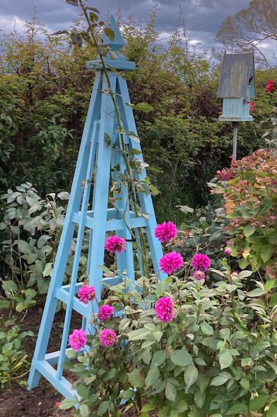 DIY garden makeovers: Inspiring projects to refresh your outdoor oasis