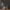 Dark wallpaper creates moody, yet relaxing atmosphere