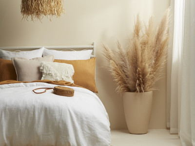 Neutral territory: The timeless elegance of neutrals in home design Neutral territory: The timeless elegance of neutrals in home design