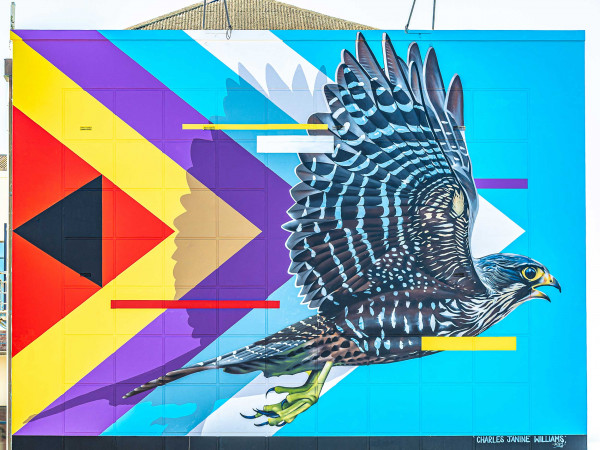 Artists Charles Janine Williams 2
