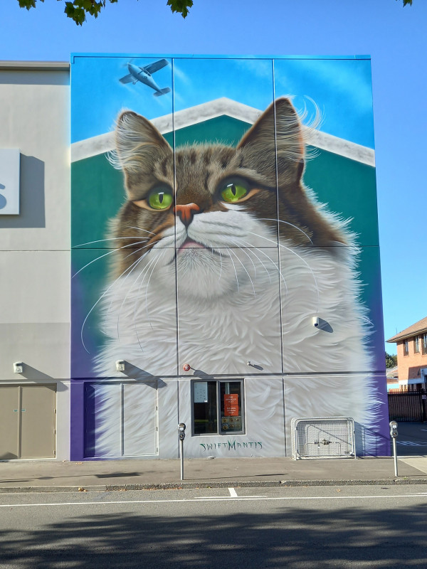 Cat Mural