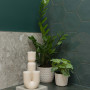 Powder room, dark green powder room
