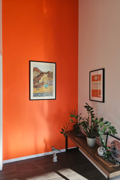 A colourful life in Clareville