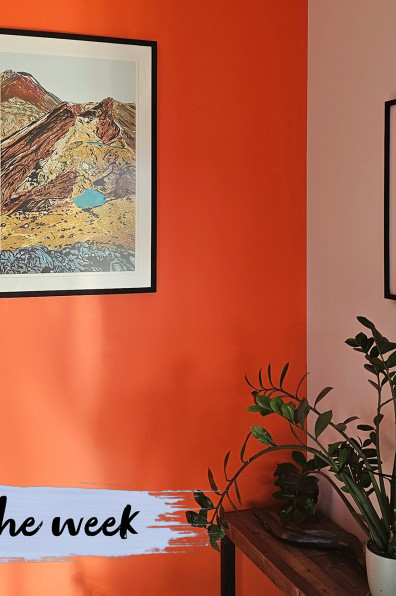 A colourful life in Clareville A colourful life in Clareville