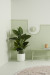 Here’s how to use September’s fresh hue in your home