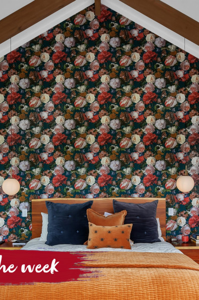 Charming colour, bold wallpaper and rolling hills in Kaiwaka Charming colour, bold wallpaper and rolling hills in Kaiwaka