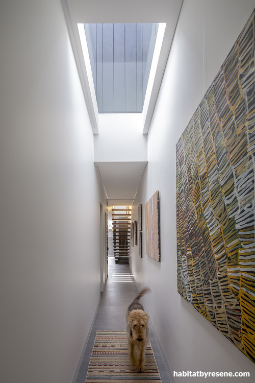 A white hallway with art and a dog