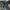 A dark green kitchen