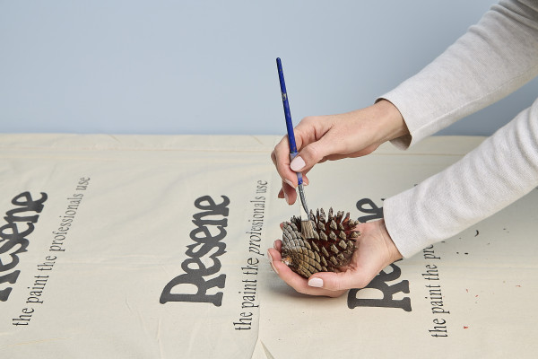 Shani Luckman Pinecone Craft Superheroes photo Bryce Carleton Step 44