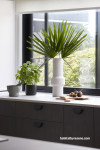 Vase and plant in kitchen painted white