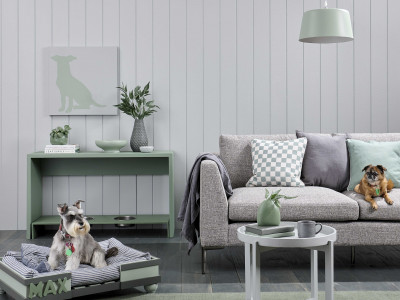 Easy cost-effective ideas for renters 