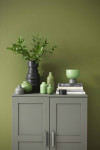 Nature's palette: Create a tranquil space with these green hues 