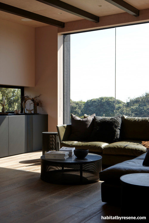 Living area, living area featuring Resene Blanched Pink and timber floors