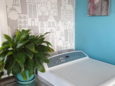 Janice and Eddie’s brave use of bold colours pays off Janice and Eddie’s brave use of bold colours pays off