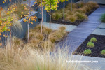 concrete paths, timber boardwalks