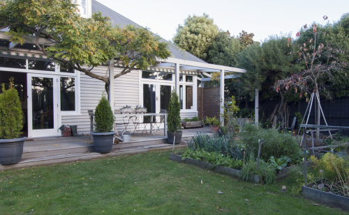 raised garden beds