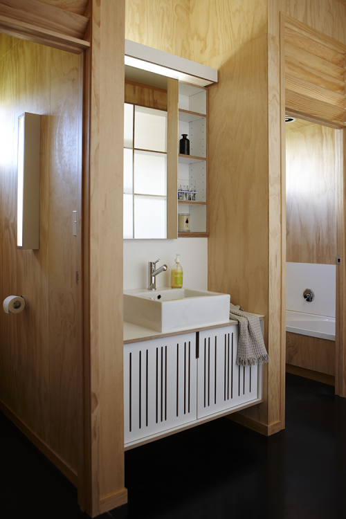 bathroom, stain, stains, staining, plywood, timber, stained timber