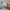 grey, living room, kitchen, open plan, bungalow, paint