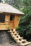 Greg and Tanya's Unique Tree House
