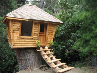 Greg and Tanya's Unique Tree House