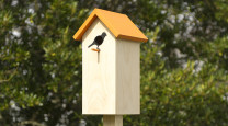 Build a birdhouse photo