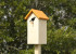 Build a birdhouse photo