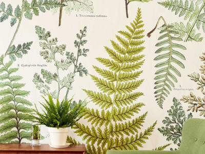 Trending: Natural walls you'll love