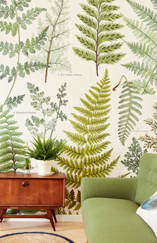 feature wall, nature wallpaper, leaf wallpaper, green wallpaper, nature inspired wall