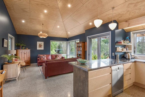 living room, kitchen, open plan living, blue living room, plywood ceilings, plywood interior