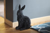 grey decor, dark grey paint, antique flooring, rabbit, French Oak floors, interior