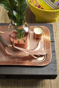 Trend spotting for 2015