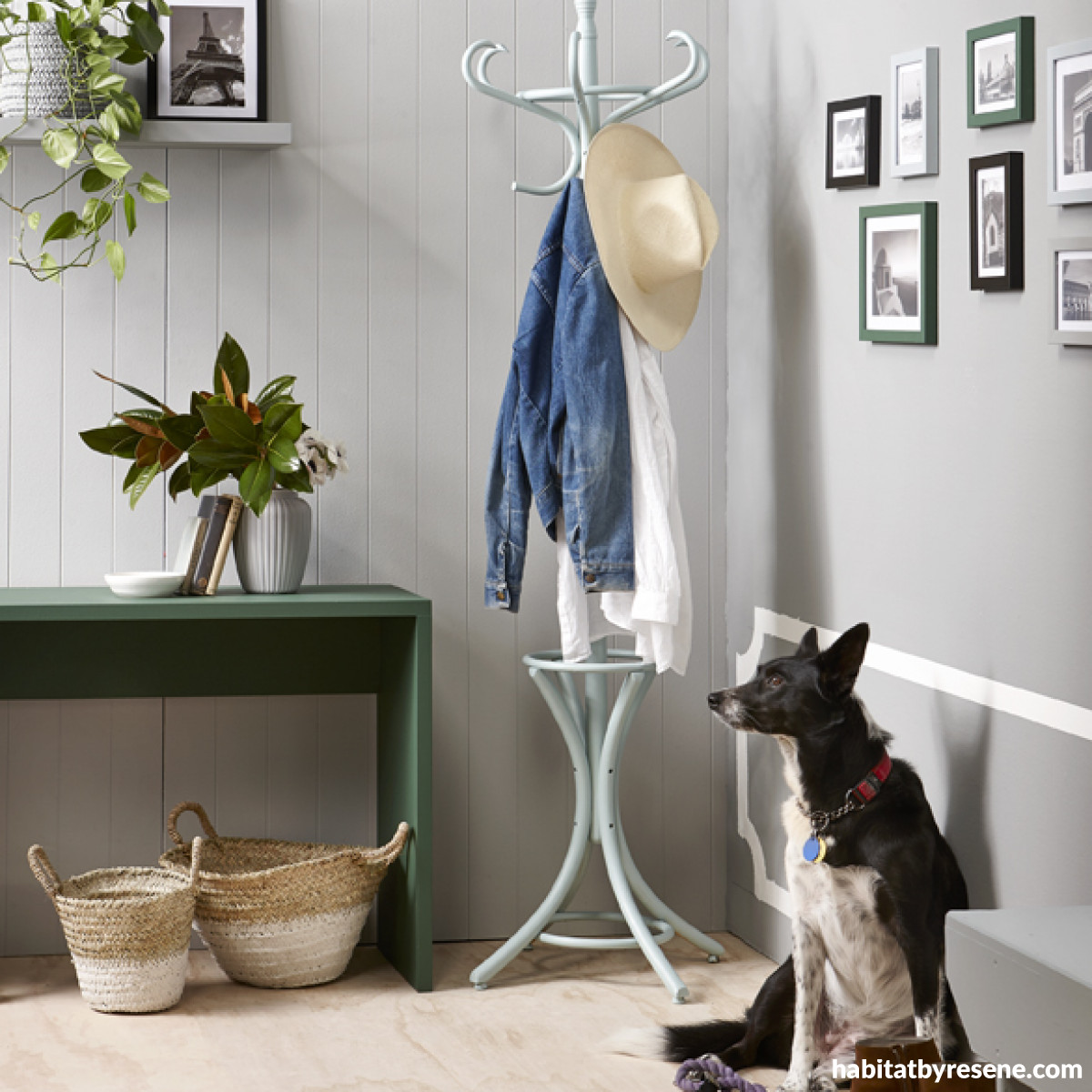 Hallway heaven Habitat by Resene