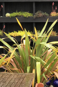 Joanne and Chris bring beachy brights to their B&B