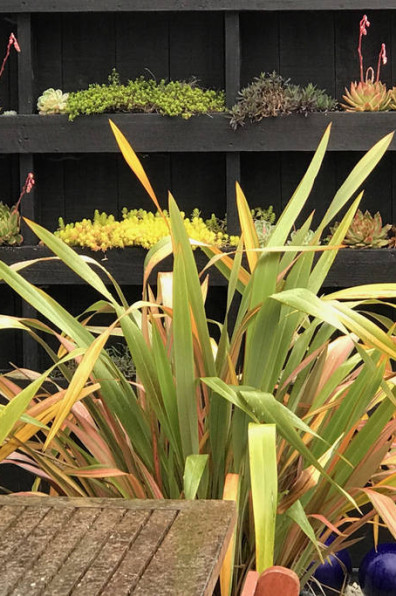 Joanne and Chris bring beachy brights to their B&B