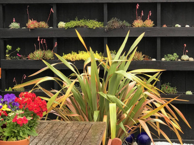 Joanne and Chris bring beachy brights to their B&B Joanne and Chris bring beachy brights to their B&B