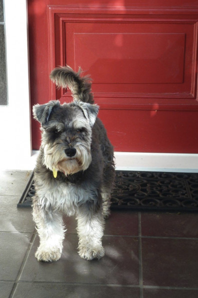 The 12 colours of Christmas