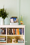 retro bach, holiday home, bookshelf, bookcase, turquoise paint