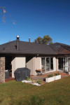 William's jewel in the bush