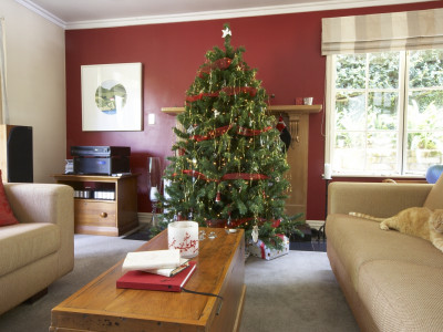 Richard and Tracy's Love of Colour