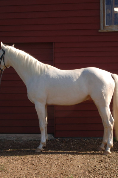 John and Anne's beachside paradise