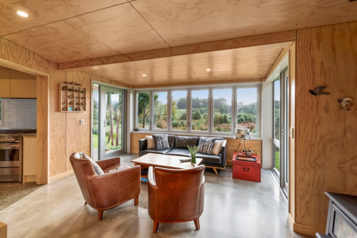 plywood interior, plywood walls, plywood ceiling, living room, plywood living room, sitting room