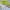 green, bedroom, paint ideas, paint trends