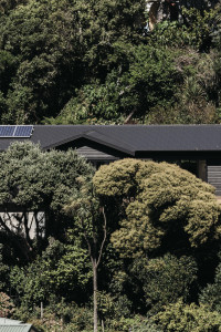 Deborah and Stuart’s remarkable rebuild is a cut above Deborah and Stuart’s remarkable rebuild is a cut above