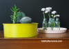 diy project, upcycling homeware, diy cake tin, pot plants, diy planters, upcycling bakeware 